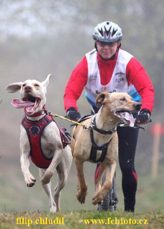 Tri studne podzim 08 - 403.jpg